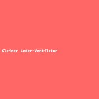 Kleiner Leder-Ventilator
