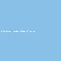 Kleiner Leder-Ventilator