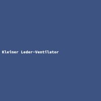 Kleiner Leder-Ventilator
